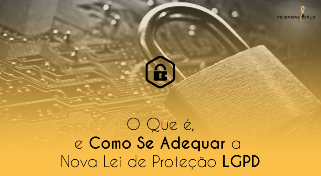 O Que é e Como Se Adequar a Nova Lei de Proteção de Dados